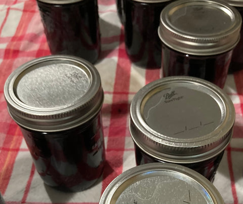 Elderberry Jelly